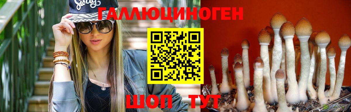 Галлюциногенные грибы Magic Shrooms  Вход с VPN  Благодарный  Псилоцибиновые грибы мицелий 
